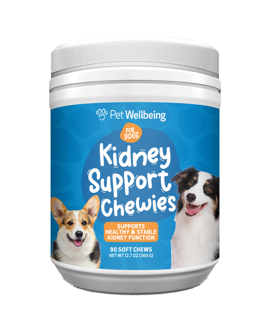 Kidney Disease Supplement for Dogs | Pet Wellbeing Kidney Support Gold