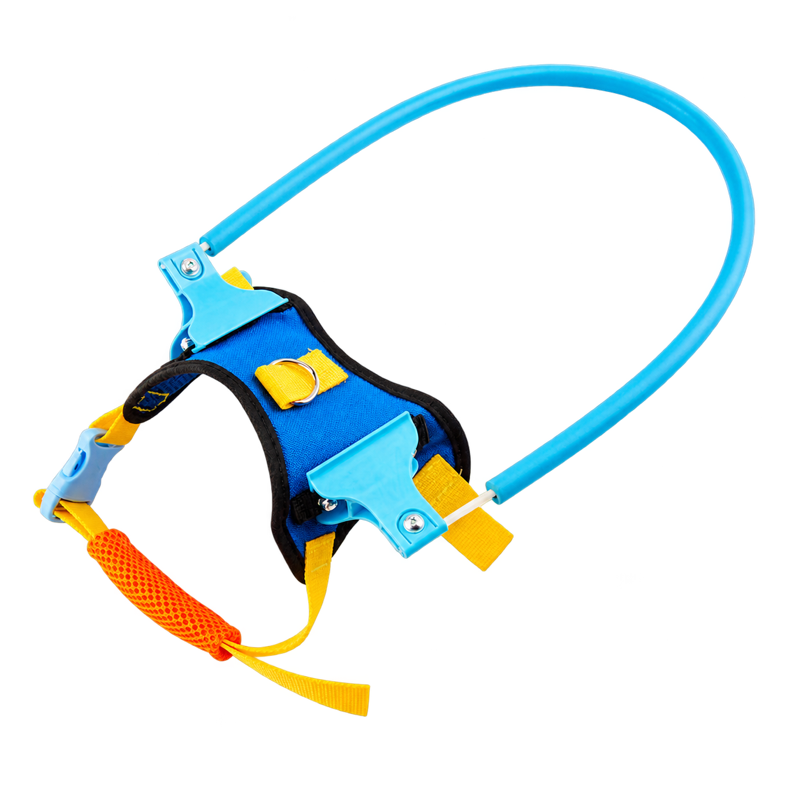 Blue halo harness showing the foam ring and its attachment points