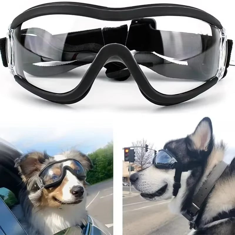Dog Protection Goggles PV Lens