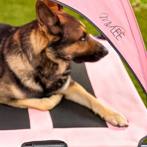 Elevated Dog Bed with Canopy