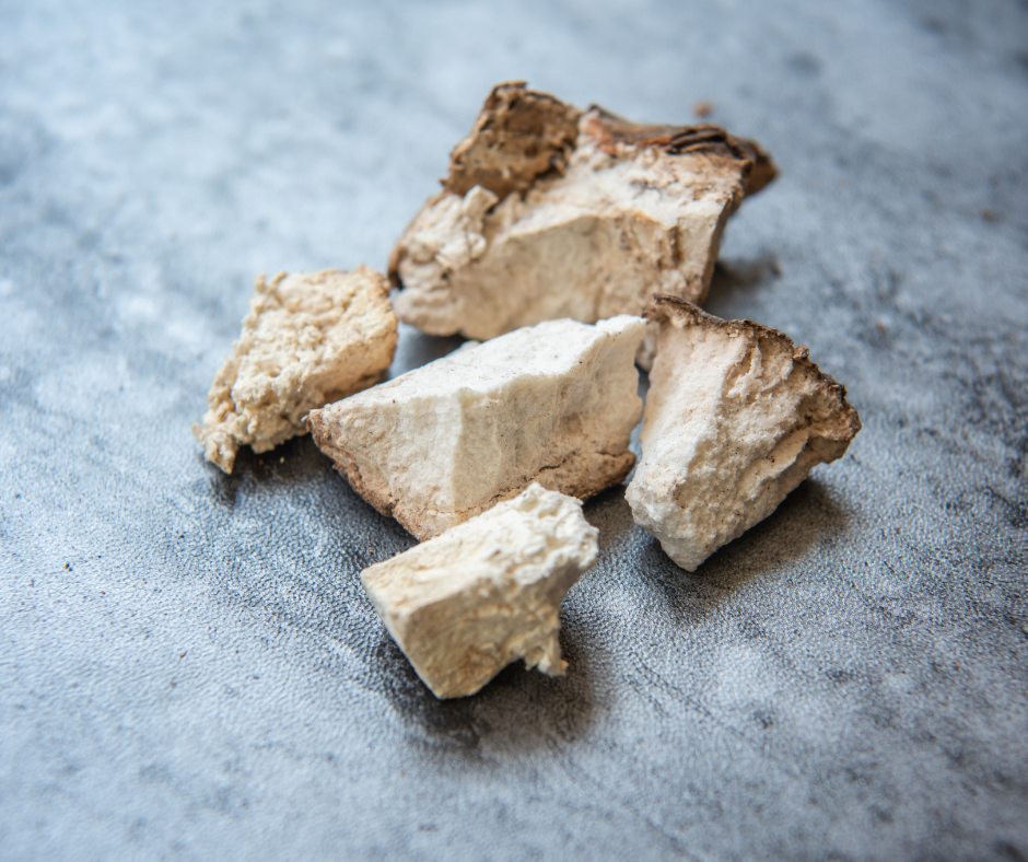 Kidney Care Renal Support for Dogs | Herbsmith