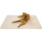 Dog lying on a beige pet mat with a white background