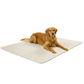 Dog lying on a beige heating pad with a white background