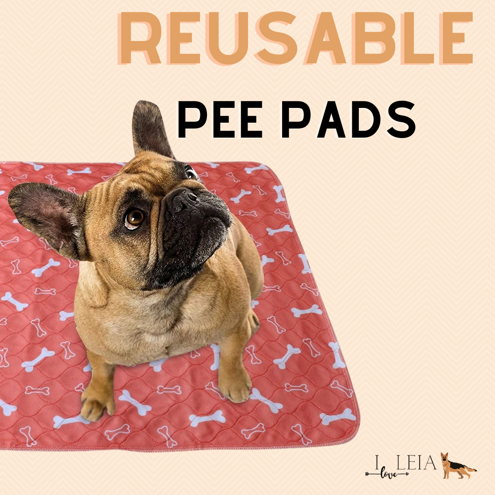 Washable Dog Pee Pad for Senior Dogs with Incontinence
