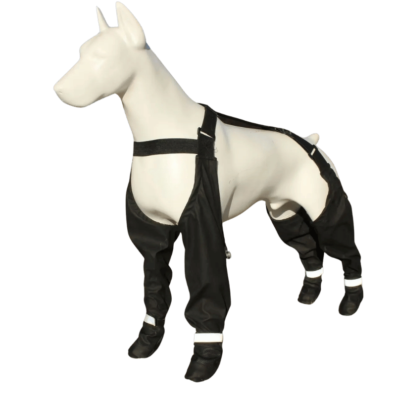 Suspender Dog Boots