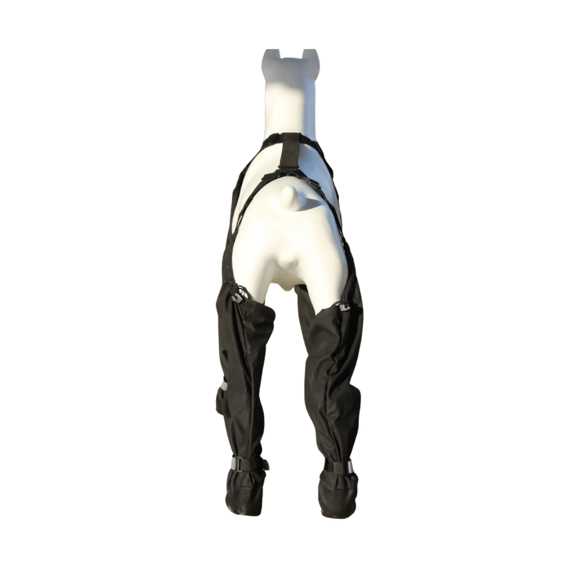 Suspender Dog Boots