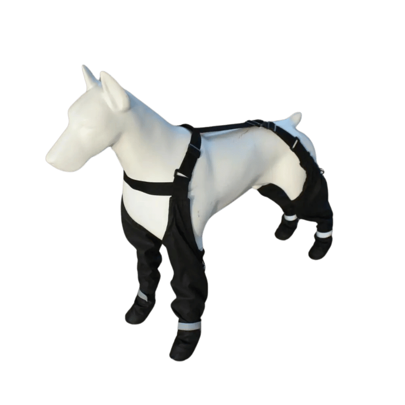 Suspender Dog Boots