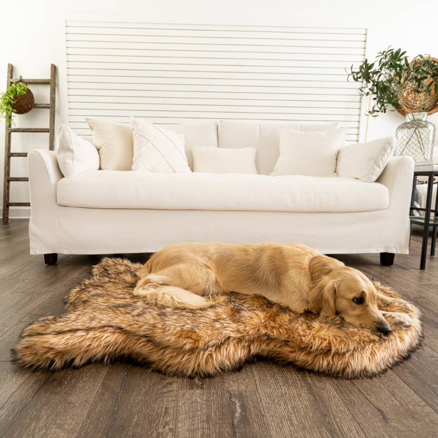 Dog lying on a fur rug in a living room with a white sofa and plants.