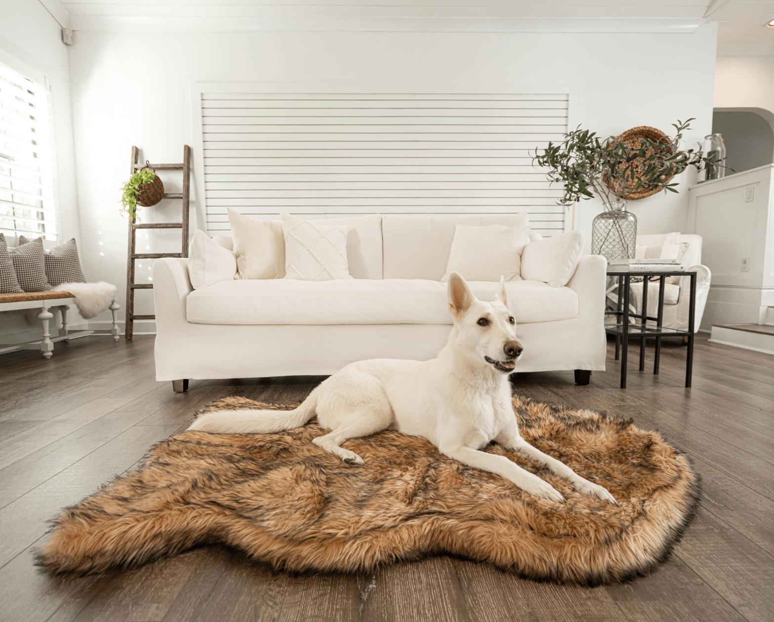 White dog lying on a brown faux fur rug in a modern living room.
