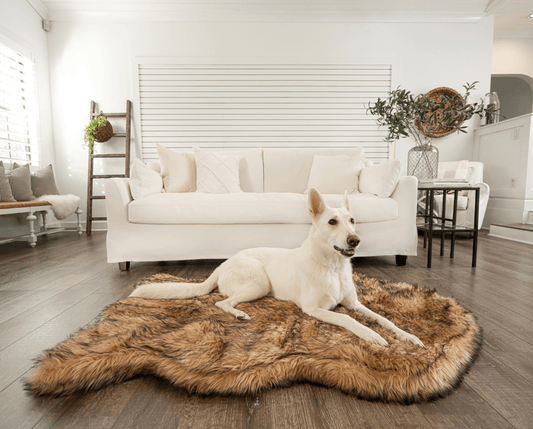 White dog lying on a brown faux fur rug in a modern living room.