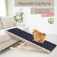 Small dog walking on carpeted wooden ramp leaning on a sofa
