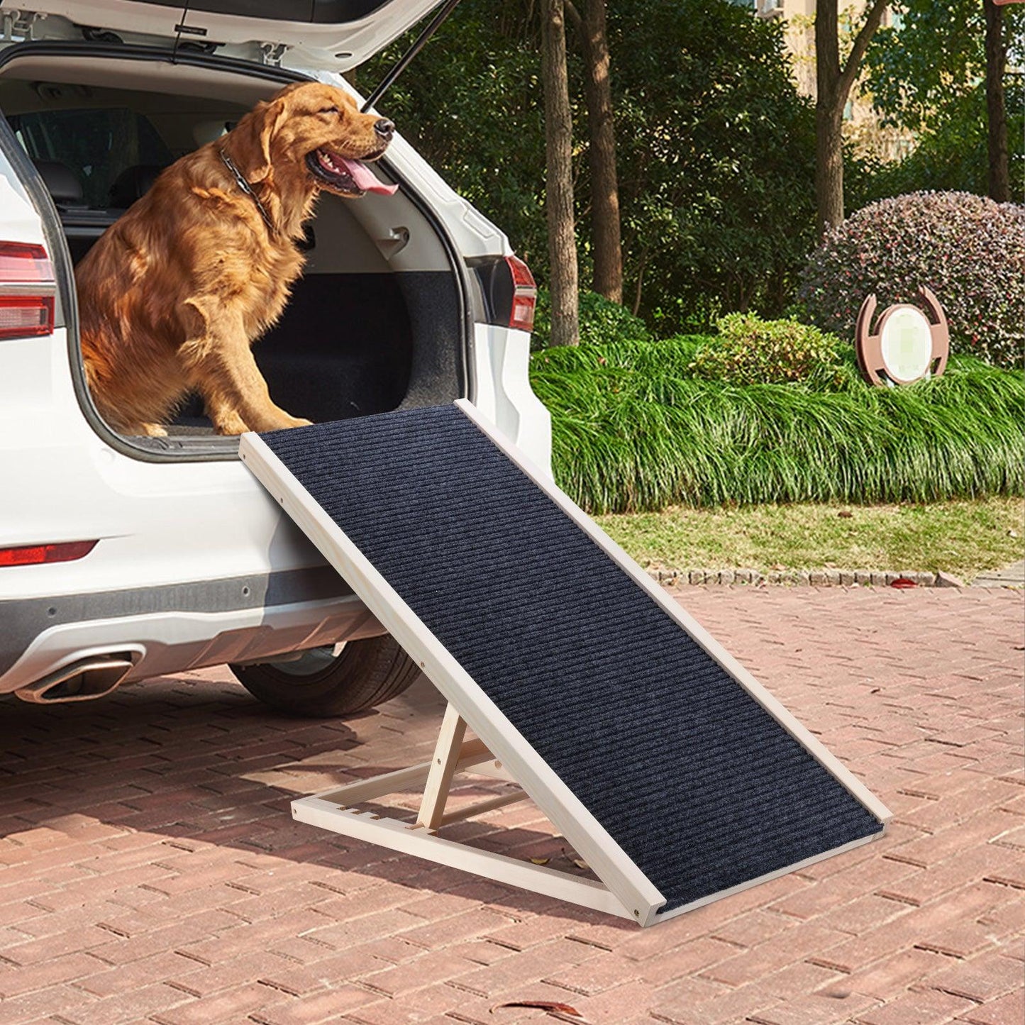 Large Dog sitting in the trunk of a car and a wooden dog ramp leaning on the trunk