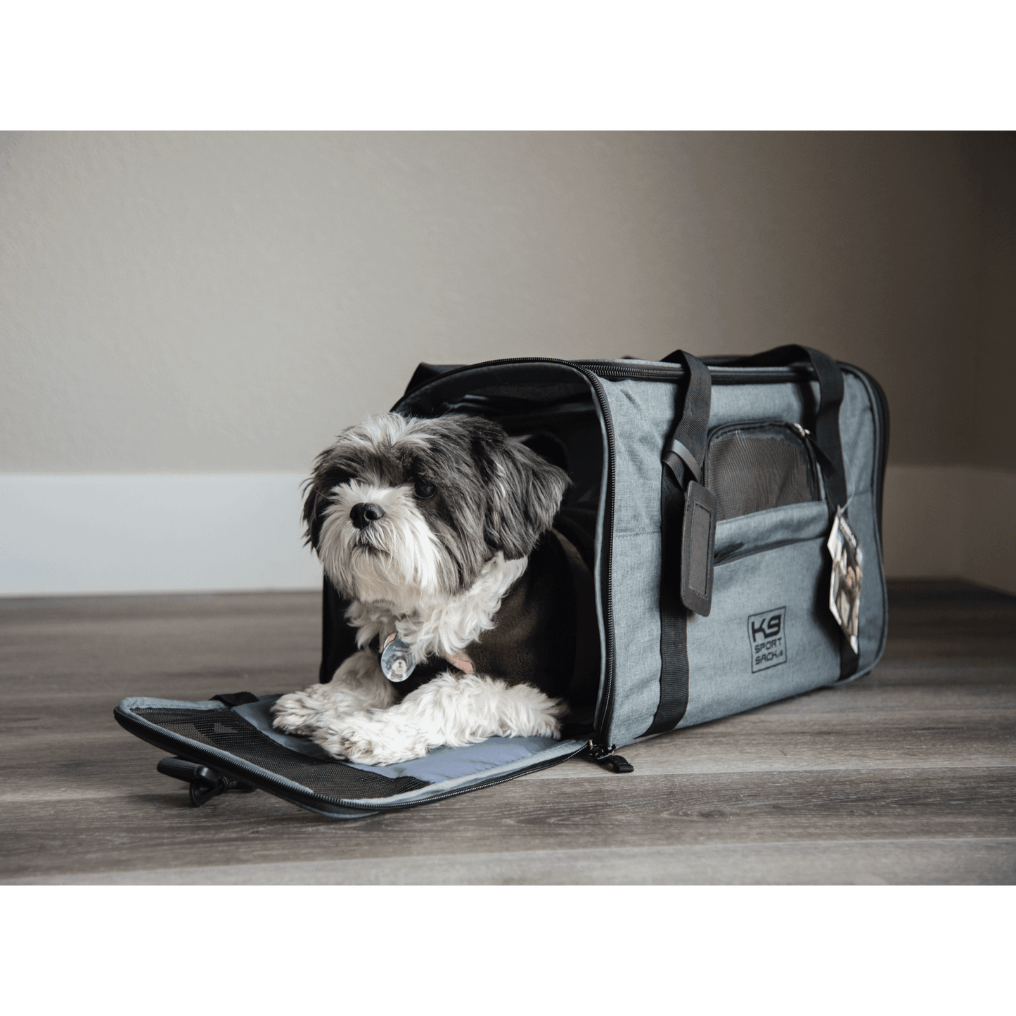 Small dog inside dog carrier