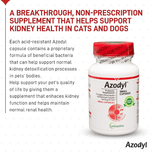 Azodyl - Kidney Supplement for Dogs - iloveleia.com