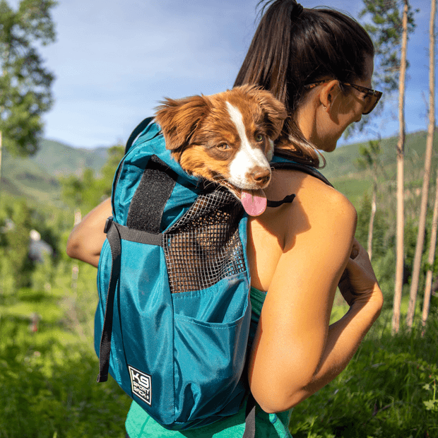 Woman carrying puppy dog inside backpack carrier