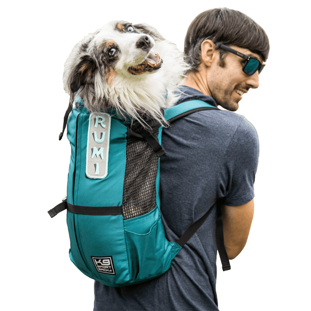Man carrying an Australian Shepherd in backpack carrier in harbor blue color
