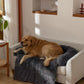 Golden Retriever on Best Dog Cover for Couch