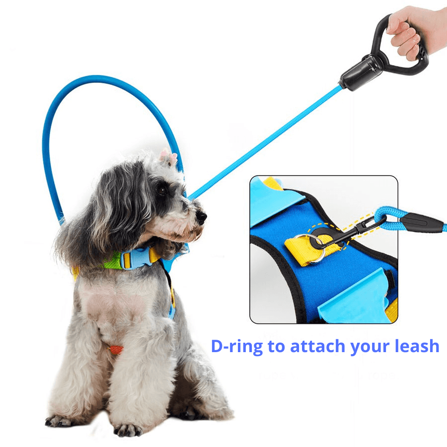 D-ring to attach leash to blind dogs halo