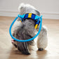 Poodle dog wearing a blind dogs halo