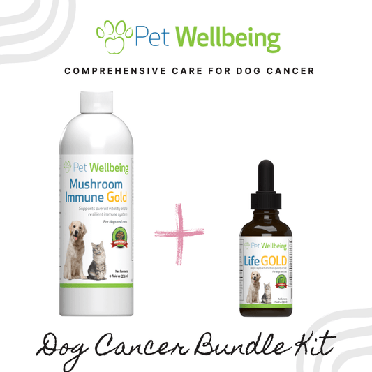Bundle: Comprehensive Care for Dog Cancer - iloveleia.com