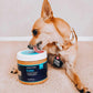 Chihuahua dog licking a jar of Honest Paws calm CBD peanut butter