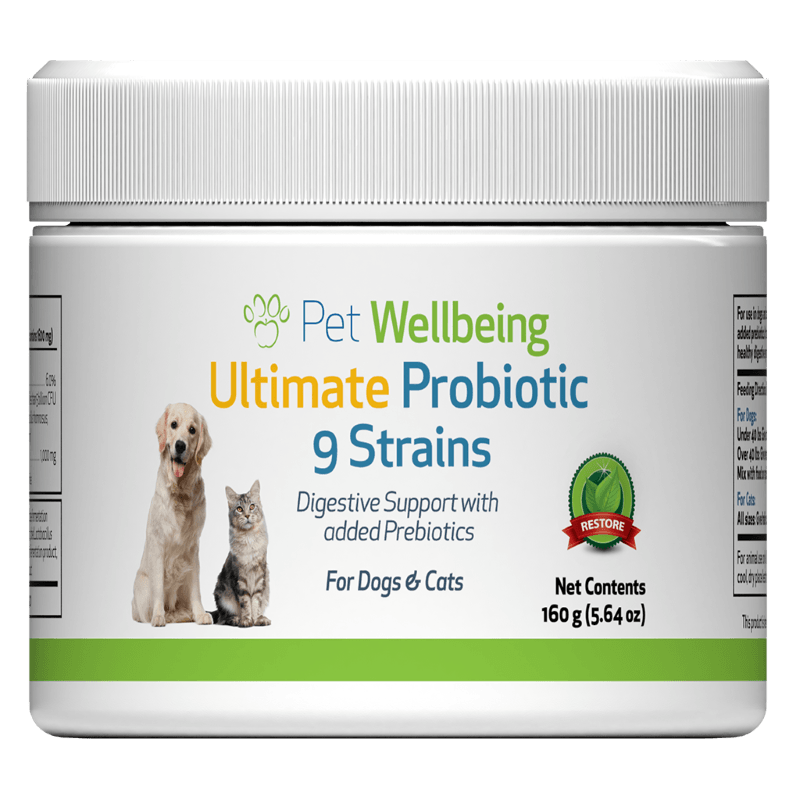 Cosequin joint support supplement bottle