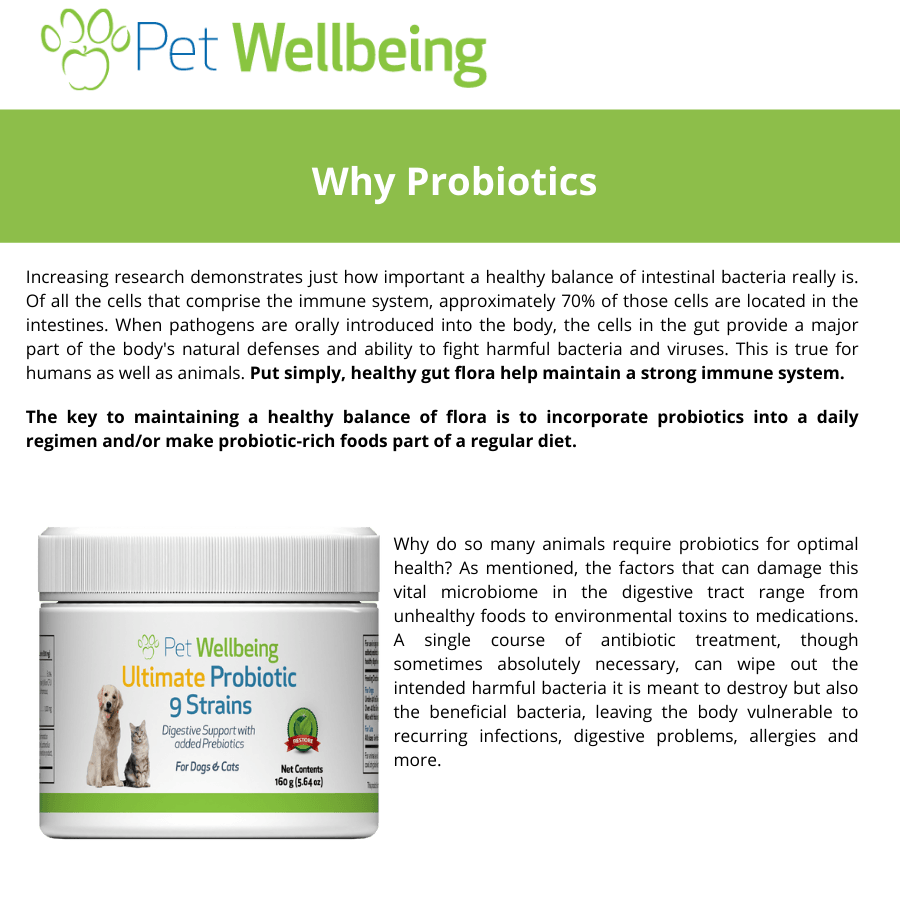 Ultimate Probiotic benefits