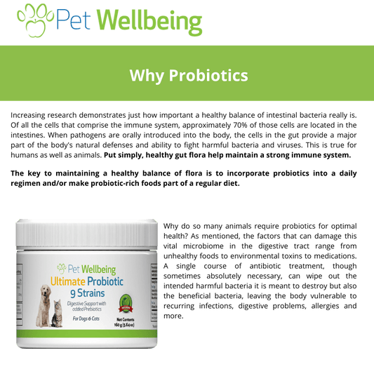 Ultimate Probiotic benefits
