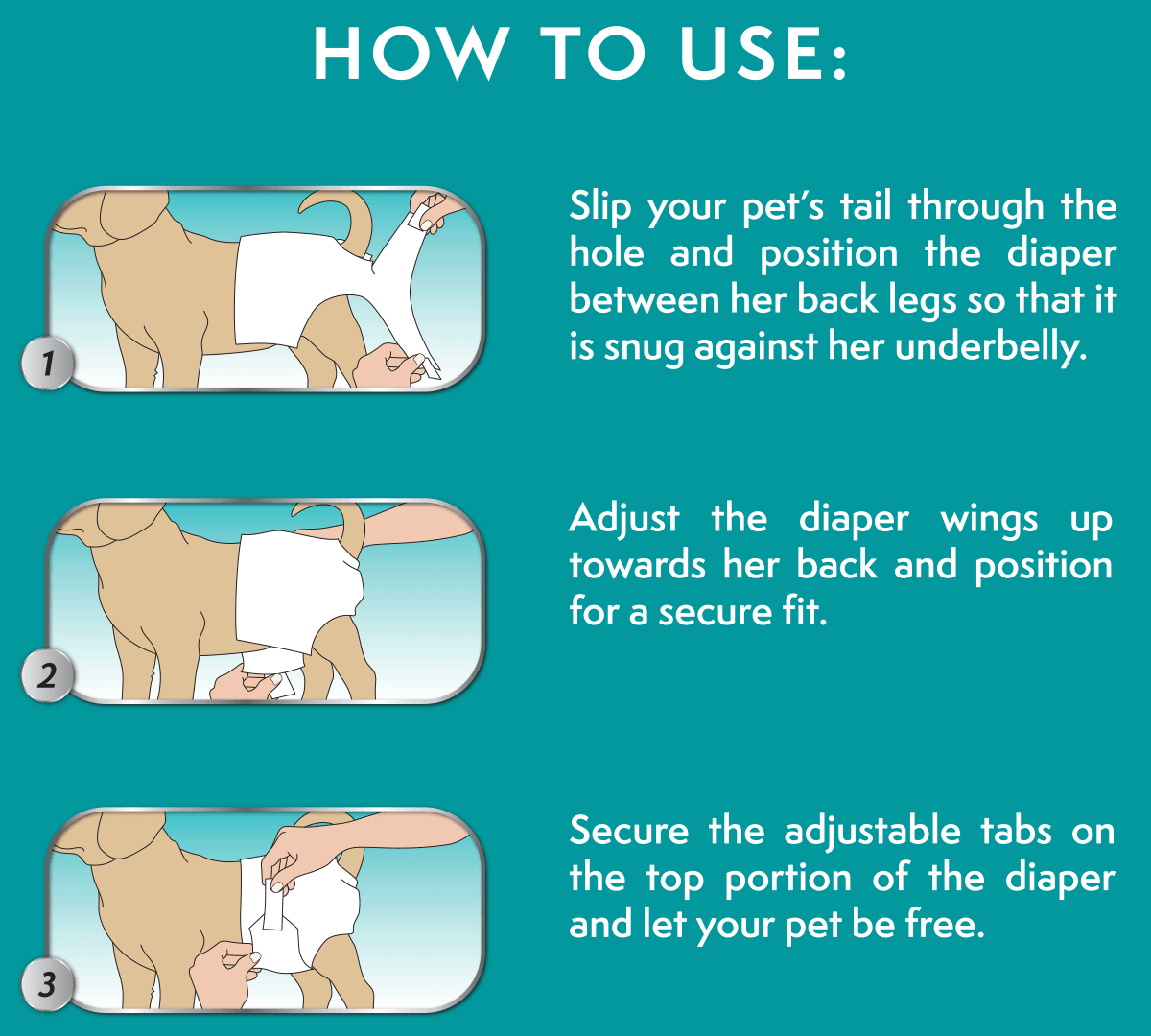 How to use female dog diapers
