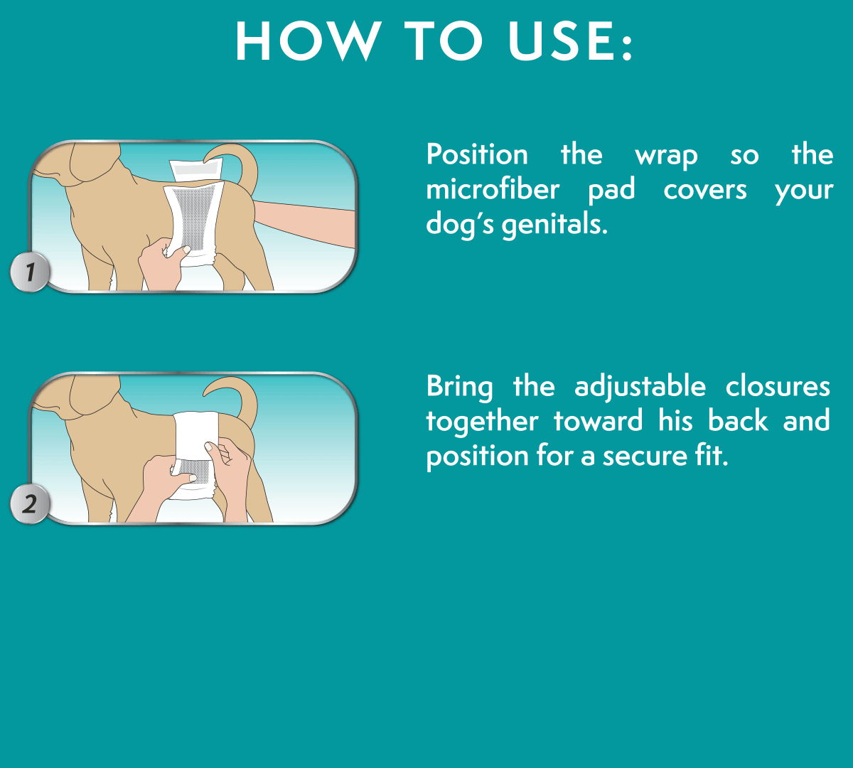 how to use disposable male dog wraps