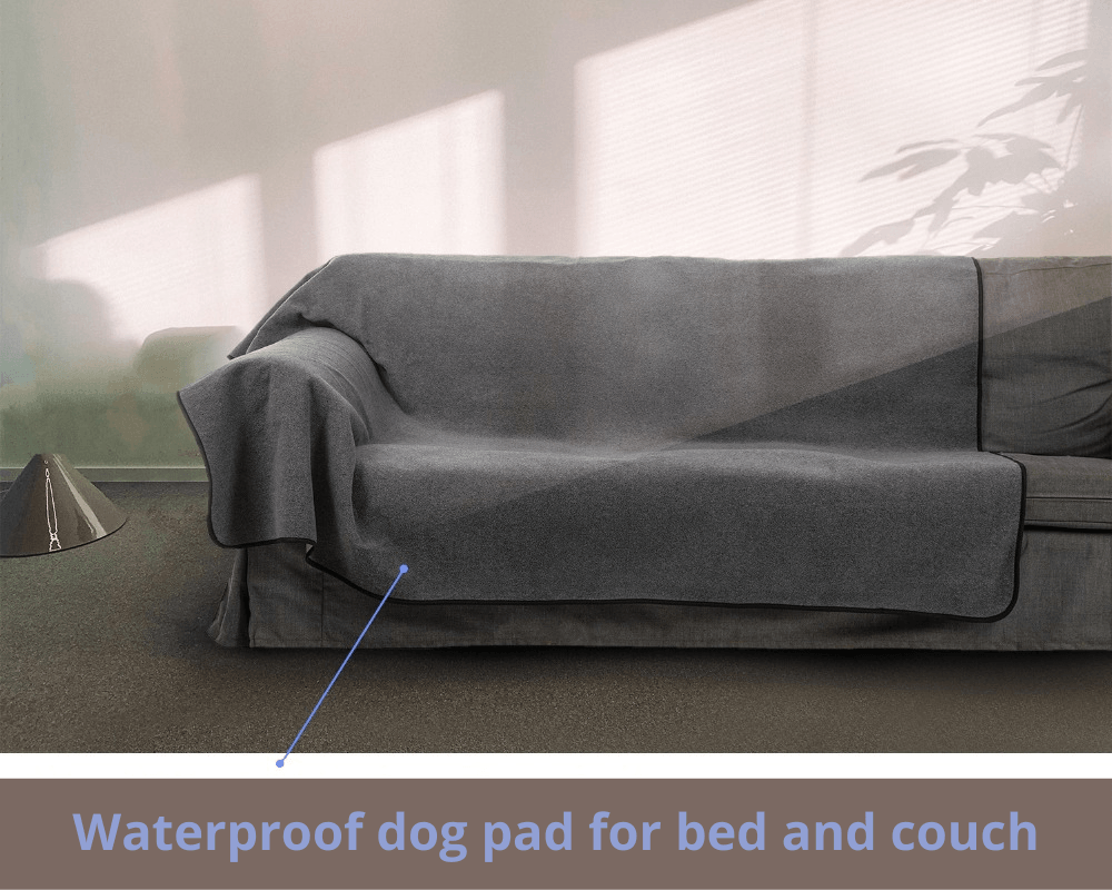 Dog Blanket and waterproof pad on couch