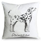 Dalmatian print pillow case