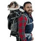 Bulldog carried by a man in a backpack