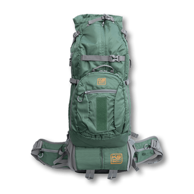 Rover 2 Dog carrier backpack in green