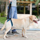Male labrador dog wearing a dog lift harness around the hind legs