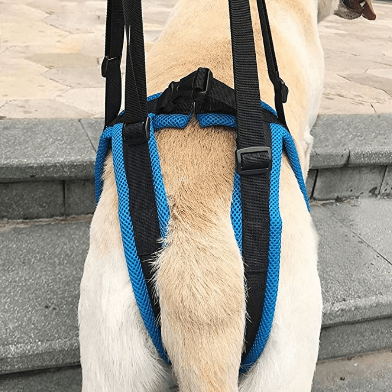 Dog Sling For Back Legs - iloveleia.com