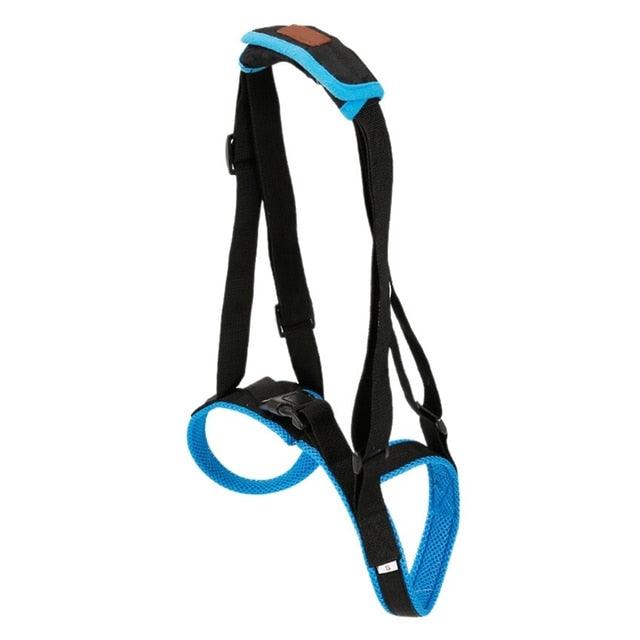 Dog Sling For Back Legs - iloveleia.com