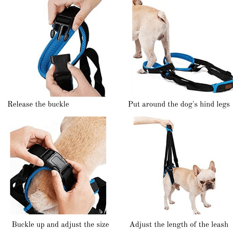 Dog Sling For Back Legs - iloveleia.com