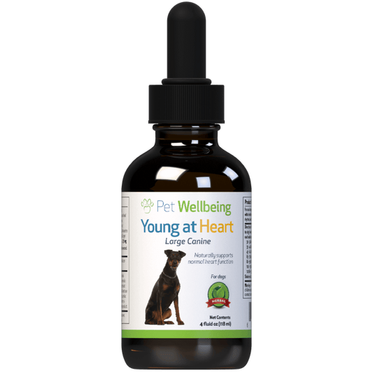 Pet Wellbeing Heart supplement for dogs 4oz bottle