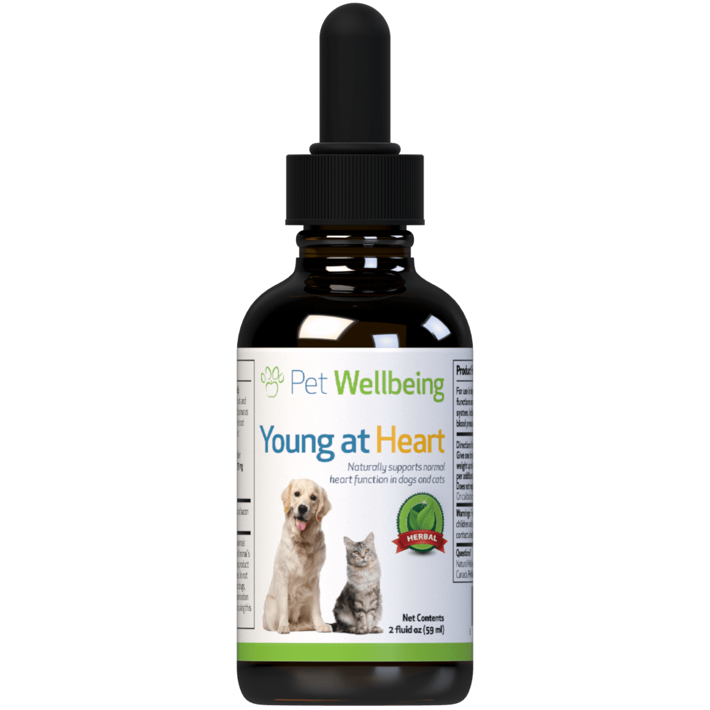 Pet Wellbeing Heart supplement for dogs 2oz bottle