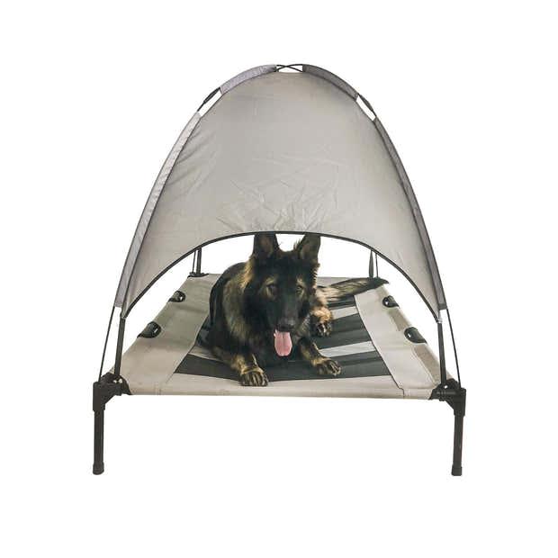 Elevated Dog Bed with Canopy - iloveleia.com