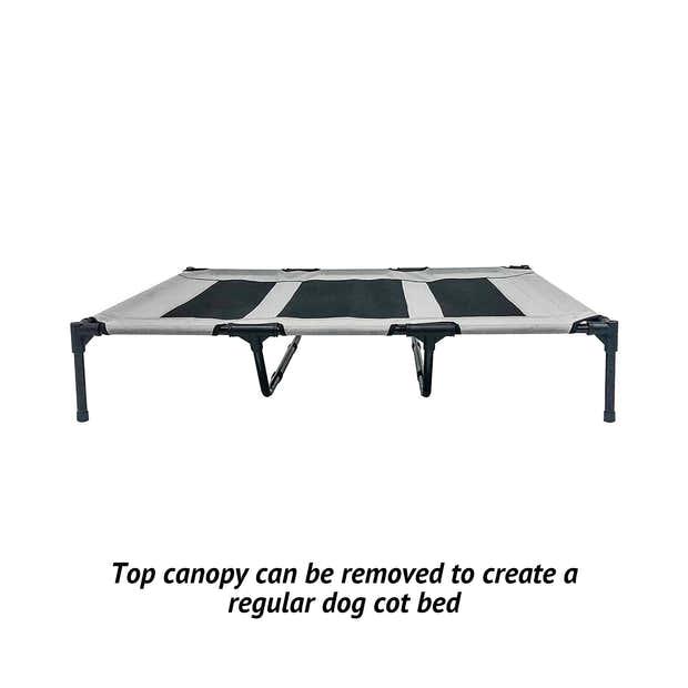 Elevated Dog Bed with Canopy - iloveleia.com