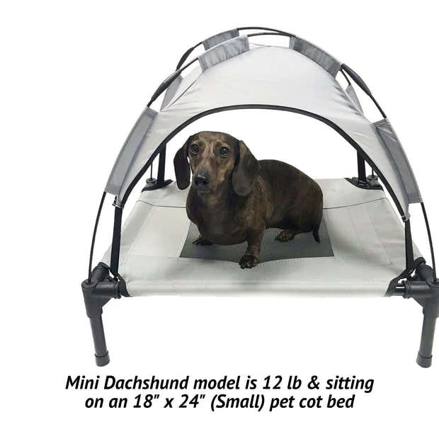 Elevated Dog Bed with Canopy - iloveleia.com