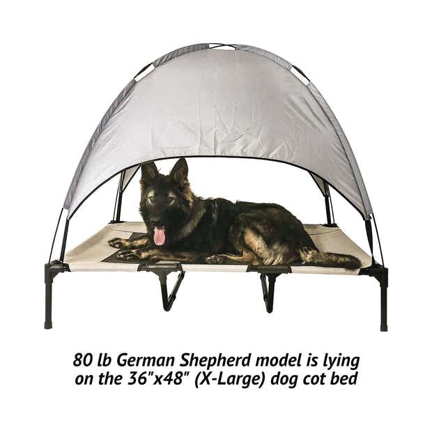 Elevated Dog Bed with Canopy - iloveleia.com