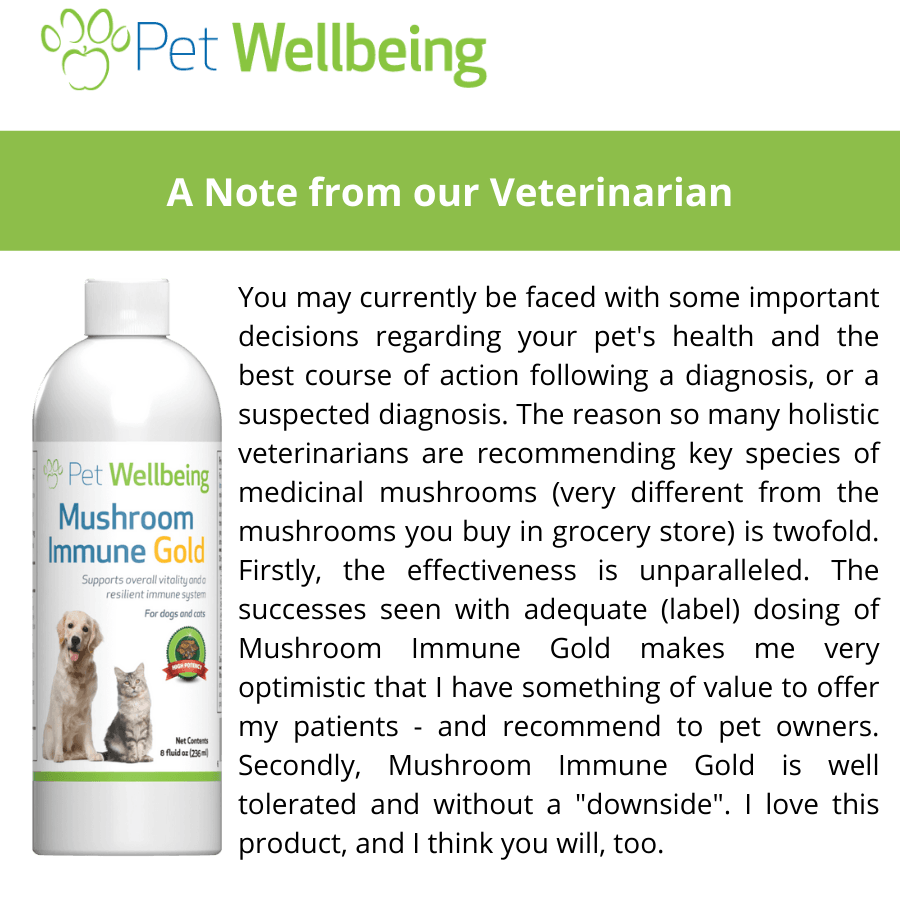 Pet Wellbeing Mushroom Immune Gold Supplement for Dogs Benefits
