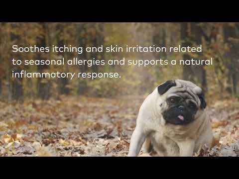Earth Animal Natural Remedies Allergy & Skin video