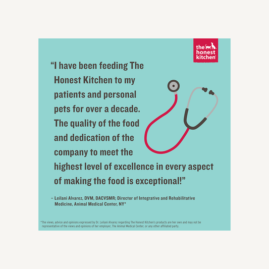 The Honest Kitchen review