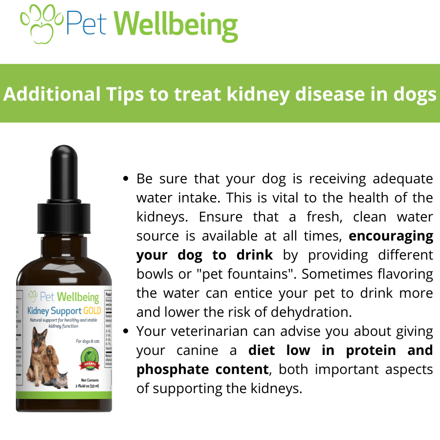 Pet Wellbeing Kidney Support Supplement for Dogs Benefits