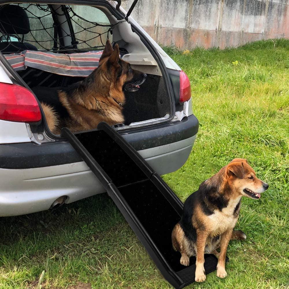 German Shepherd sitting in the trunk of car where a dog ramp is leaning