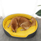 Luxury Dog Bed for Small Dogs - iloveleia.com
